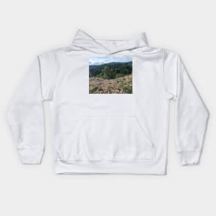 cliff view Kids Hoodie